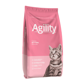 Agility Cats Kitten