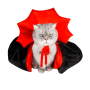 Disfraz de Drácula para Gatos