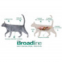 Broadline para Gatos