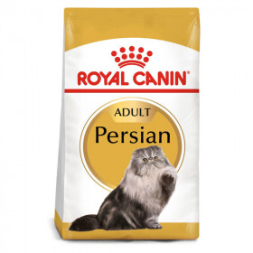 Royal Canin Persian Adulto
