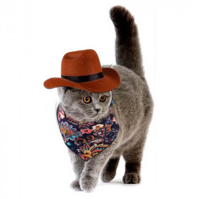 Sombrero Vaquero para Gatos