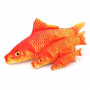Goldfish con Catnip Hierba Gatera