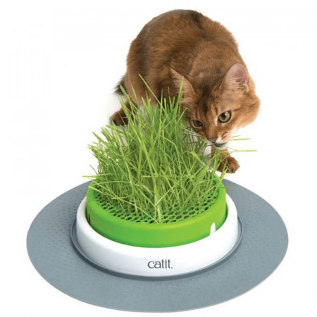 Catit Germinador Cat Grass Planter