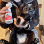 Bioline Limpieza Almohadillas para Gatos