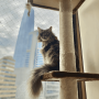 Rascador Torre Babel para Gatos