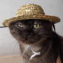 Sombrero de Paja para Mascotas