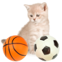 Wonder Cat Pelotitas de Fútbol y Básquetbol