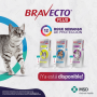 Bravecto Plus Pipeta para Gatos