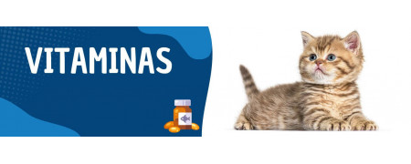 ▷ Vitaminas para Gatos al Mejor Precio