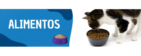 Alimentos para Gatos al Mejor Precio - Felinus