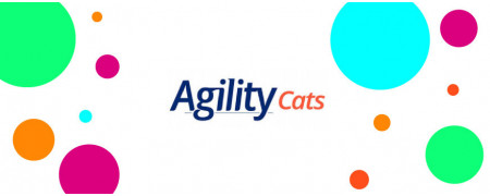 ▷ Agility: Alimento para Gatos