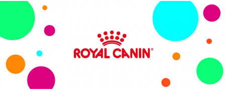 ▷ Royal Canin: Alimento para Gatos