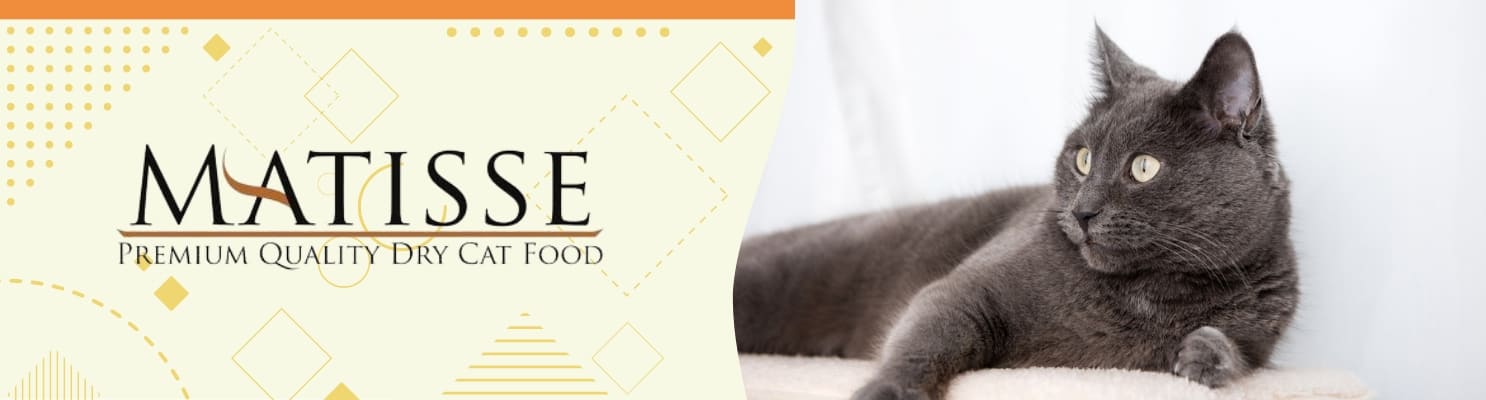 ▷ Matisse: Alimento para Gatos