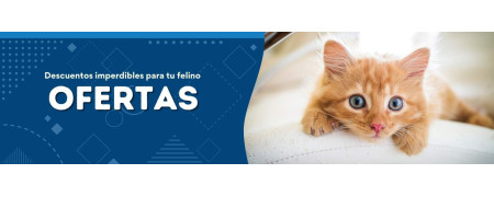 ▷ OFERTAS Felinus: Todo lo que tu gato necesita al mejor precio