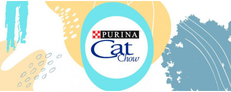 ▷ Purina Cat Chow: Alimento para Gatos