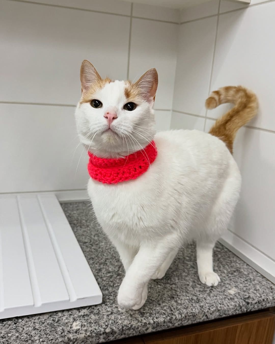 Ramona y Sabrina.png